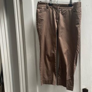 Express capri pant